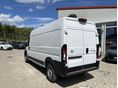 TOYOTA PROACE 2025/6 - 2