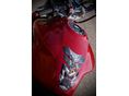 HONDA CB 2006/5 - 3