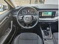 SKODA OCTAVIA 2022/4 - 14