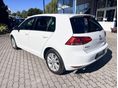 VOLKSWAGEN GOLF VII 2013/4 - 3