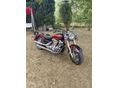 YAMAHA XV 1600 WILD STAR 2001/7 - 4