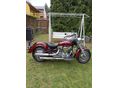 YAMAHA XV 1600 WILD STAR 2001/7 - 5