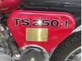 MZ TS 250 1978/11 - 7