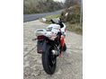 YAMAHA TZR 50 2008/5 - 4