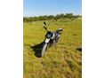 GENERIC TRIGGER SM 50 2017/9 - 6