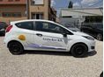 FORD FIESTA 2013/11 - 8