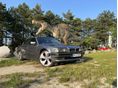 BMW 735 1997 - 5