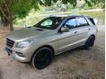 MERCEDES-BENZ ML 250 BlueTEC (Automata)