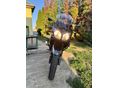 SUZUKI DL 650 2007/4 - 12
