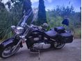 SUZUKI VL 800 (INTRUDER) 
