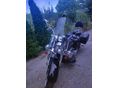 SUZUKI VL 800 (INTRUDER) 2007/1 - 3