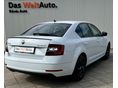 SKODA OCTAVIA 2020/5 - 6
