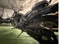 MORBIDELLI C652V