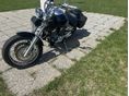 YAMAHA XVS 1100 A DRAG STAR 1999 - 6