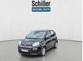 FIAT PANDA 2025/6 - 2