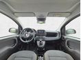 FIAT PANDA 2025/6 - 6