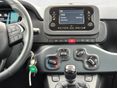 FIAT PANDA 2025/6 - 10