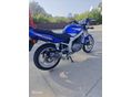 SUZUKI GS 500 E 2001/1 - 2