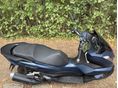 HONDA PCX 125 2023/3 - 2