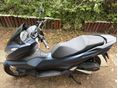 HONDA PCX 125 2023/3 - 3