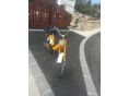 BABETTA 207 