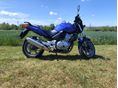 HONDA CBF 500 2004/12 - 12