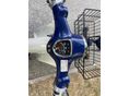 HONDA C 50 2008/1 - 6
