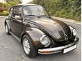 VOLKSWAGEN 1303 