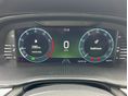 SKODA OCTAVIA 2021/8 - 3