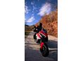 DUCATI MULTISTRADA V4 V4S Travel & Radar