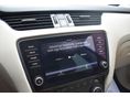 SKODA OCTAVIA 2018/8 - 19