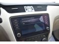 SKODA OCTAVIA 2018/8 - 20