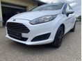 FORD FIESTA 2013/4 - 1