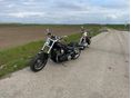 HARLEY-DAVIDSON DYNA FAT BOB 2009/7 - 3