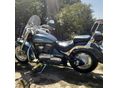 SUZUKI VL 800 (INTRUDER) 2003/3 - 5