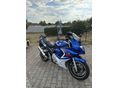 SUZUKI GSX 650 F 2008/9 - 5
