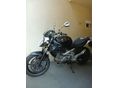 SUZUKI SFV Gladius
