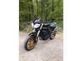 TRIUMPH SPEED TRIPLE 1050 2006/4 - 4