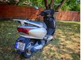HONDA NHX 110 LEAD 2008/8 - 2