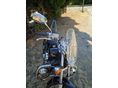 HONDA VT 750 C SHADOW SPIRIT 2008/5 - 4