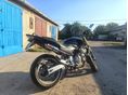 HONDA CB 600 F (HORNET) 2006/5 - 2