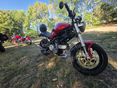 DUCATI MONSTER 620 I.E. 2004/5 - 3