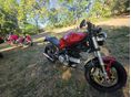DUCATI MONSTER 620 I.E. 2004/5 - 7
