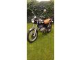 SUZUKI TU 250 1999/7 - 2