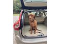 VOLVO XC60 2015/10 - 10