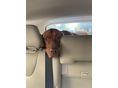 VOLVO XC60 2015/10 - 11