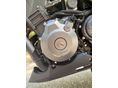 BENELLI 302 S 2021/4 - 7