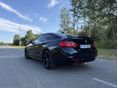 BMW 435 2017/5 - 5