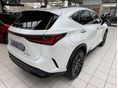 LEXUS EGYÉB 2025/10 - 3