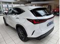 LEXUS EGYÉB 2025/10 - 4